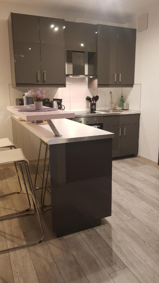 Boznicza Old Town Lux Apartment, Self Check-In 24H, Free Parking พอซนาน ภายนอก รูปภาพ