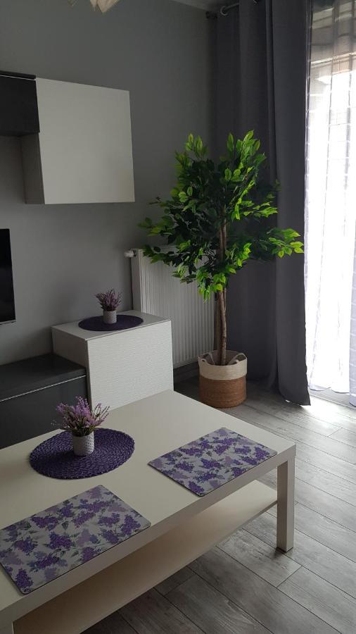 Boznicza Old Town Lux Apartment, Self Check-In 24H, Free Parking พอซนาน ภายนอก รูปภาพ